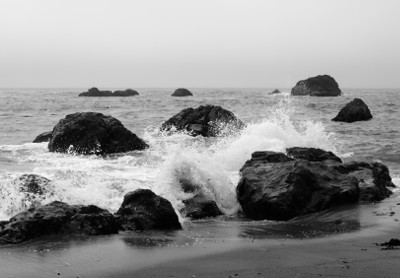 Mendocino Coast