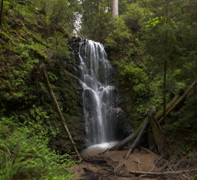 Berry Creek Falls