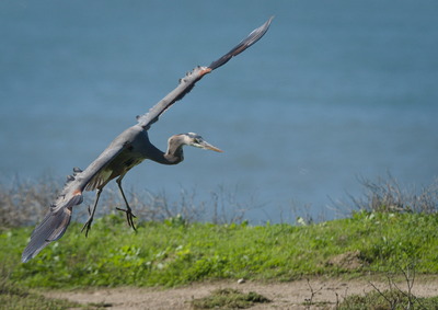 Landing