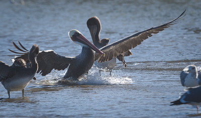 Landing