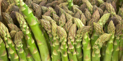 Asparagus